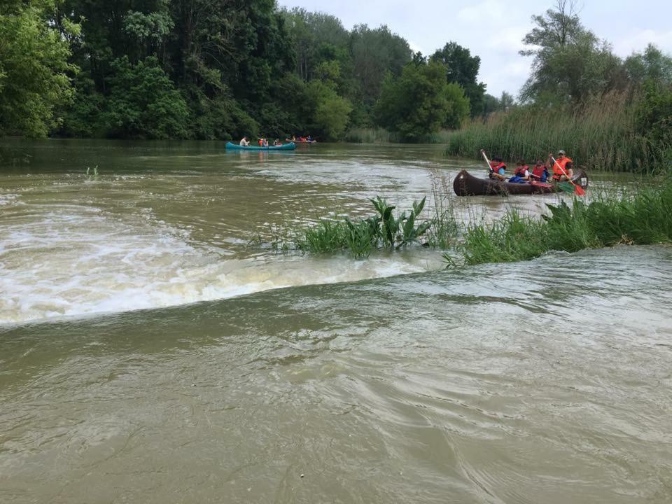 Donaupark Camping Tulln Tulln An Der Donau Exterior photo